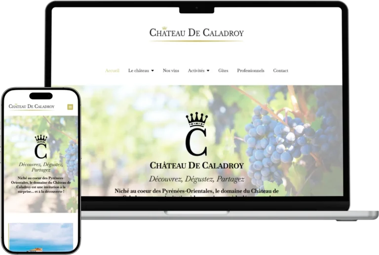 Illustration d'une boutique en ligne WooCommerce affichée sur ordinateur et mobile, création Pierre Levacher à Fécamp